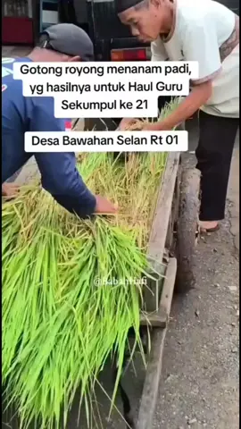 gomtong royong. persiapan haul #abahgurusekumpulmartapura #khzainibinabdulghani 