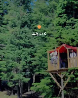 #chaudhrysunny800040 #fouryoupage #fouryou #fyp 