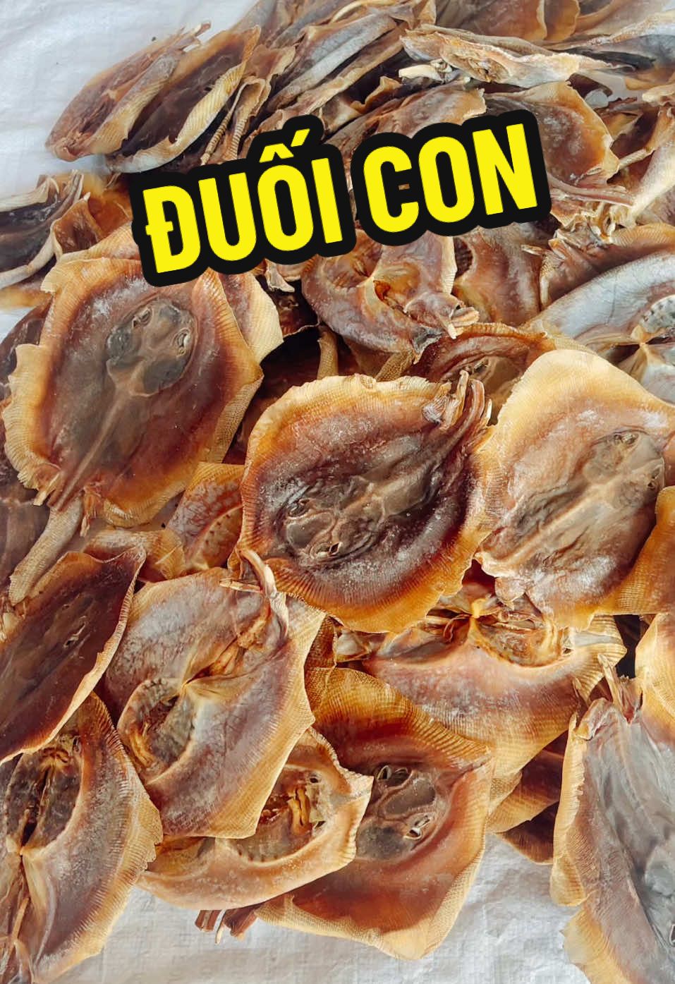 Khô cá đuối nguyên con #caduoi #duoinguyencon #cadu #luoitrau #chivang #dacsancamau #vuakhosuongsuong #cobuncamau #ilovetiktok