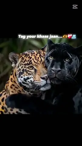 #pb02 wala