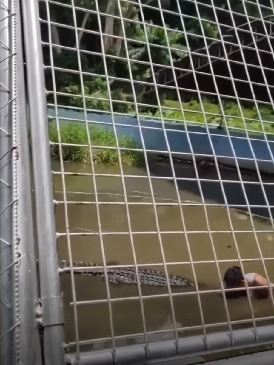Si Kuya Sinakmal ng Buwaya.   A 10-foot-long crocodile bit and seriously injured a man who, out of curiosity, jumped into its enclosure in Siay town, Zamboanga #ai  #trending  #fyp  #firstvideoofLalay  #manbitbycrocodile  #firstvideoofmenbitbylalay  #follower  #menbitbycrocodil  #funnyvideos 