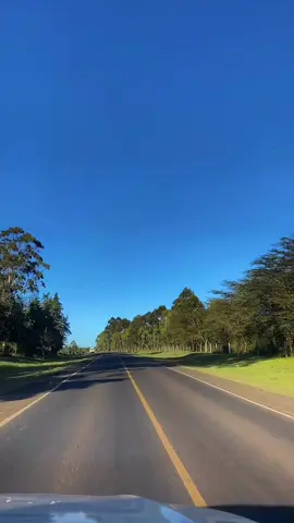 Scenes from Nanyuki - Timau Road #Nanyuki #Timau #nanyukitiktokers #Merucounty #Merucounty #TembeaKenya #Kenya #magicalkenya 