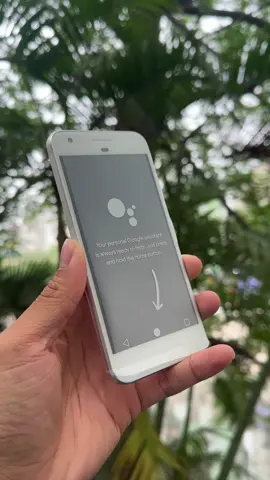Android thuần , lưu trữ ảnh chất lượng gốc không giới hạn. Google Pixel 1 vẫn quá là ngon #googlepixel 