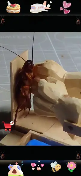#RoachBait #homeessential  #lifeessentials #tiktok #tiktokshop #fyp 
