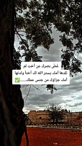 السلام عليكم ورحمة الله وبركاته 
