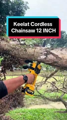 Chainsaw 12INCH inch terbaru gais, mengunakan battery sahaja. Boleh je potong dahan2 dan pokok sebesar macam ini. Jadi memang kuat laaa chainsaw ini, dapatkan sekarang.  #keelatpowertools #powertools #keelat #chainsaw #brussels #cordless #fyp 
