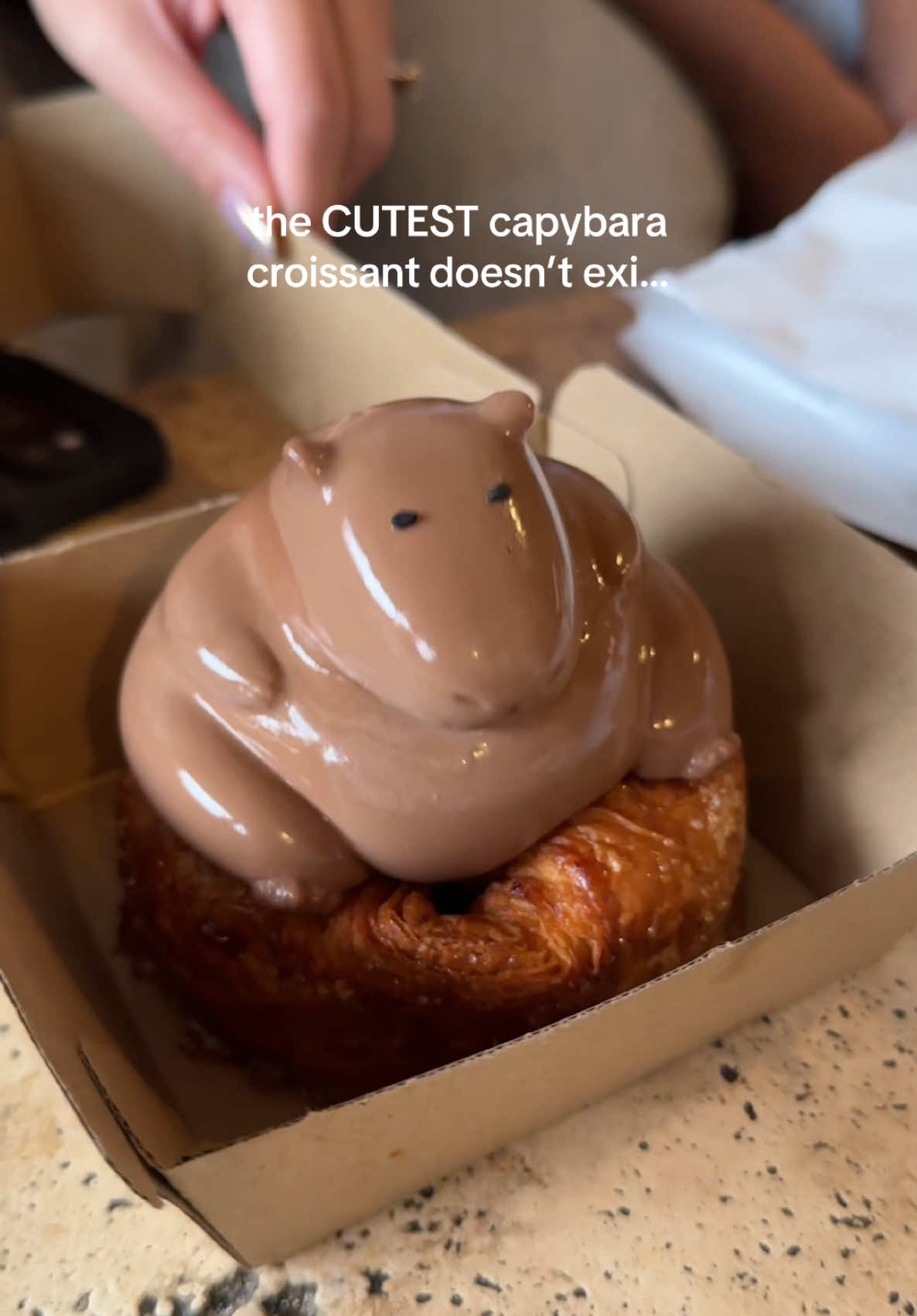 Oh wait, the CUTEST capybara croissant does exist and you can find it at Pantry Story Bakery Stanmore (Sydney) during the month of April 😍 I dare you to take a bite… #sydney #sydneyfood #capybara #croissant #pastry 
