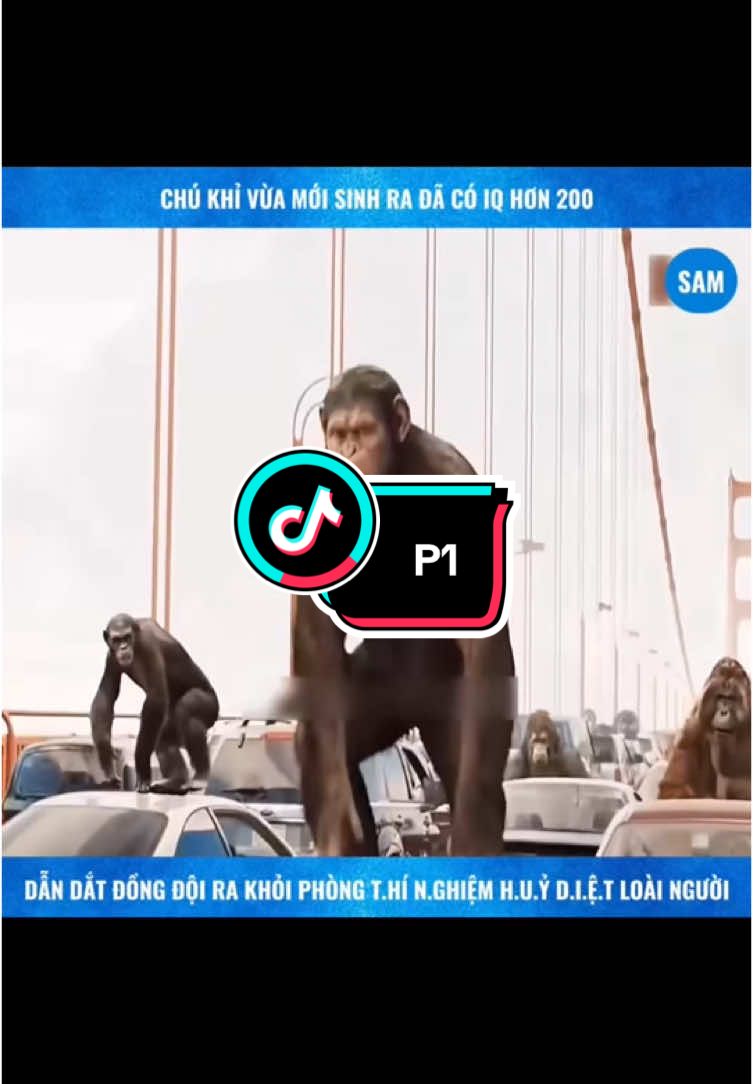 Chú khỉ có iQ hơn 200 .. #tiktok #xuhuong #trending #phimhay #reviewphim #1 