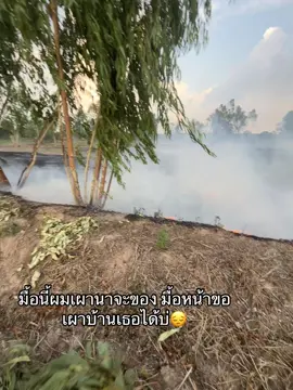 ได้บ่เธอ😔#มื้อหน้าอาจเป็นนาผู้ใหญ่บ้าน #เทรนด์วันนี้ #ฟีดบ่ 