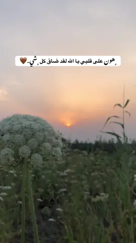 #تصويري📸 #تصويري_احترافي_الاجواء👌🏻🕊😴 #عباراتكم_الفخمه📿📌 #متابعين 