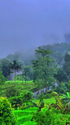 Posisi warung panorama indah balegede naringgul cianjur selatan #naringgul #naringgul_cianjur_selatan #cianjurselatan #warungpanoramanaringgul #bestview #pesonaindonesia #fyp #fypage 