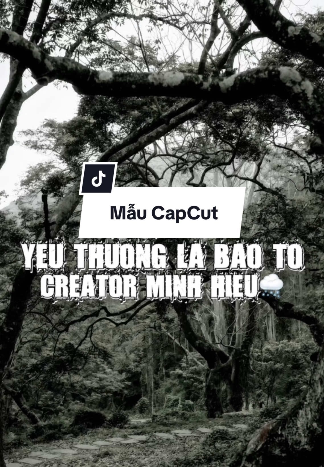 #CapCut lời yêu thương tựa như bão tố…………. | Yêu Thương Là Bão Tố #xuhuong #minhhieu_20604 #nhachaymoingay #capcut 