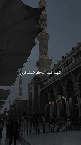 اللهم إليك أشكو ضعف قوتي وقلة حيلتي 🤲🏼🤍🌹#اكتب_شي_توجر_عليه #كلام_من_ذهب #اكسبلور #اكسبلورexplore 