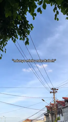 ruwet koyo kabel🥵 #masukberanda #4u #foryou #xyzbca #fyp #jowostory #jowopride #jowobaper #bahanswmu #mumet 
