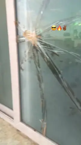 عز اعرب شوكو لوكوعزلعرب🔥🔥🔥🥰