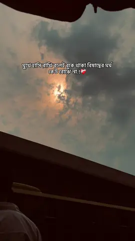 মুখে হাসি রাখি বলেই বুকে থাকা বিষাদ্বের মর্ম কেউ বোঝে না.!❤️‍🩹 #foryou #the_spydoo 