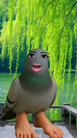 #CapCut #brainrot #pigeon #meme #fyp #pigeonwithfeetburping 