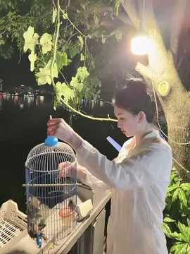 Nguyện cầu cho tất cả chúng sinh đều được Bình An#mùng 1/4