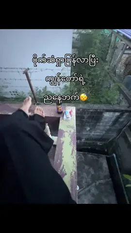 ပိုက်ဆံ💰ကြိုးစားရှာနေတဲ့လူငယ်