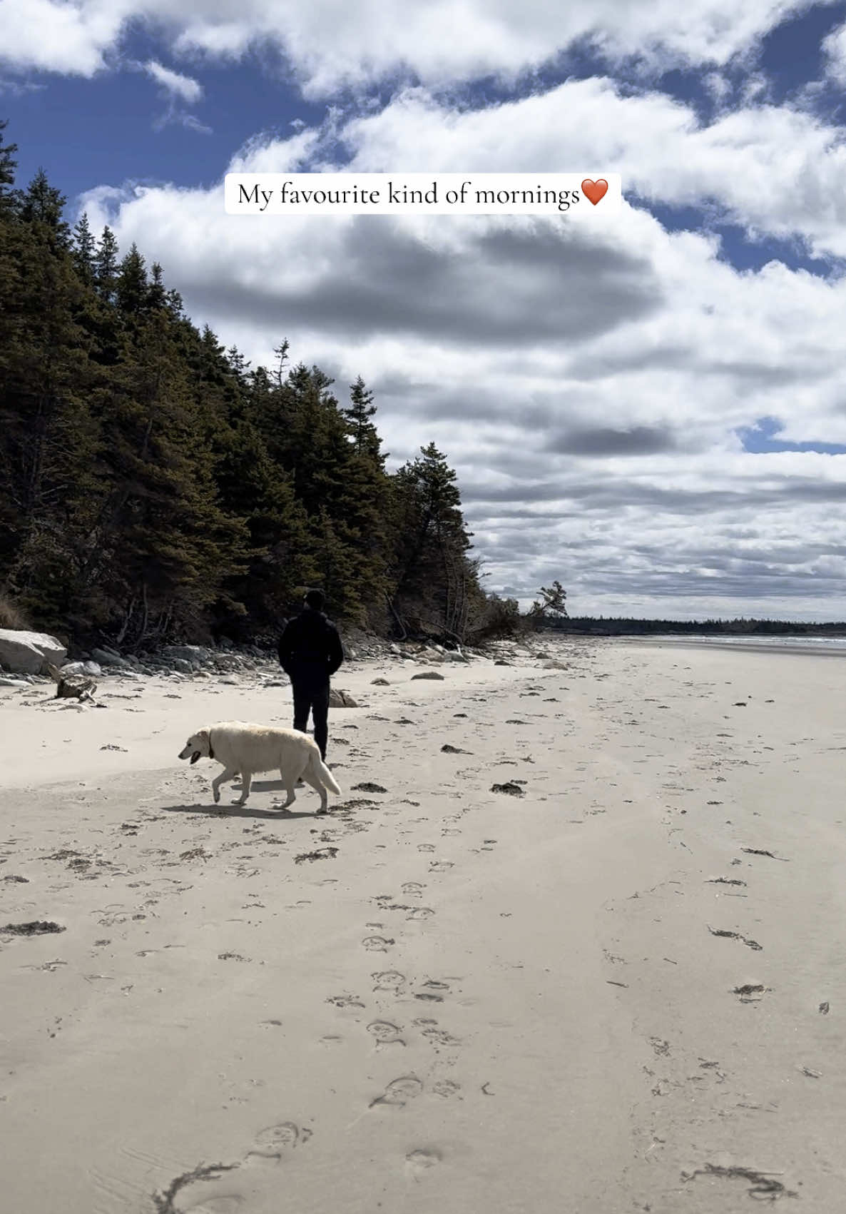 Whole beach to ourselves ❤️ 