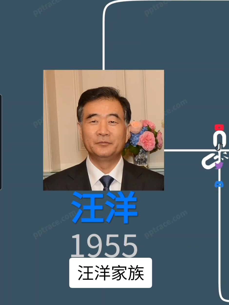 汪洋家族 #汪洋 #省委书记 #广东 #国务院副总理 #祝玛丽 #红杉中国 #汪溪沙 #张辛亮 #辛夷资本 
