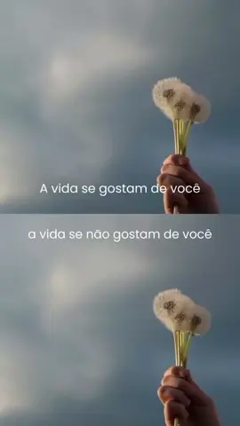📽 @suamenteconsciente 👏👏👏👏