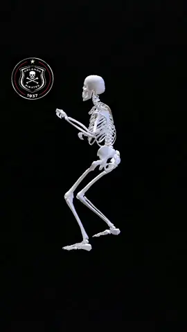 We love you Orlando Pirates 