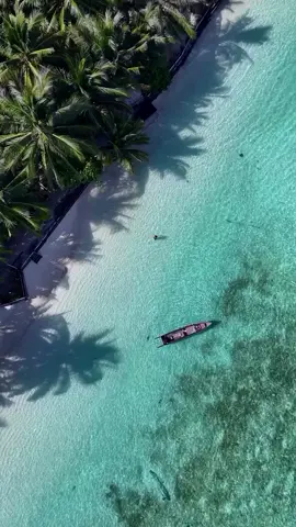 Pulau Kaniungan Besar terletak di Kabupaten Berau, Kalimantan Timur. Pulau ini dikenal dengan pasir putihnya yang halus, air lautnya yang jernih, dan kehidupan bawah lautnya yang kaya. Kalau beruntung, kamu bisa melihat penyu hijau bertelur di pesisir pulau ini. Cr/📹 IG jalanjalanterus 📍Pulau Kaniungan Besar, Berau, Kalimantan Timur #PesonaIndonesia #DiIndonesiaAja #kaniunganisland 