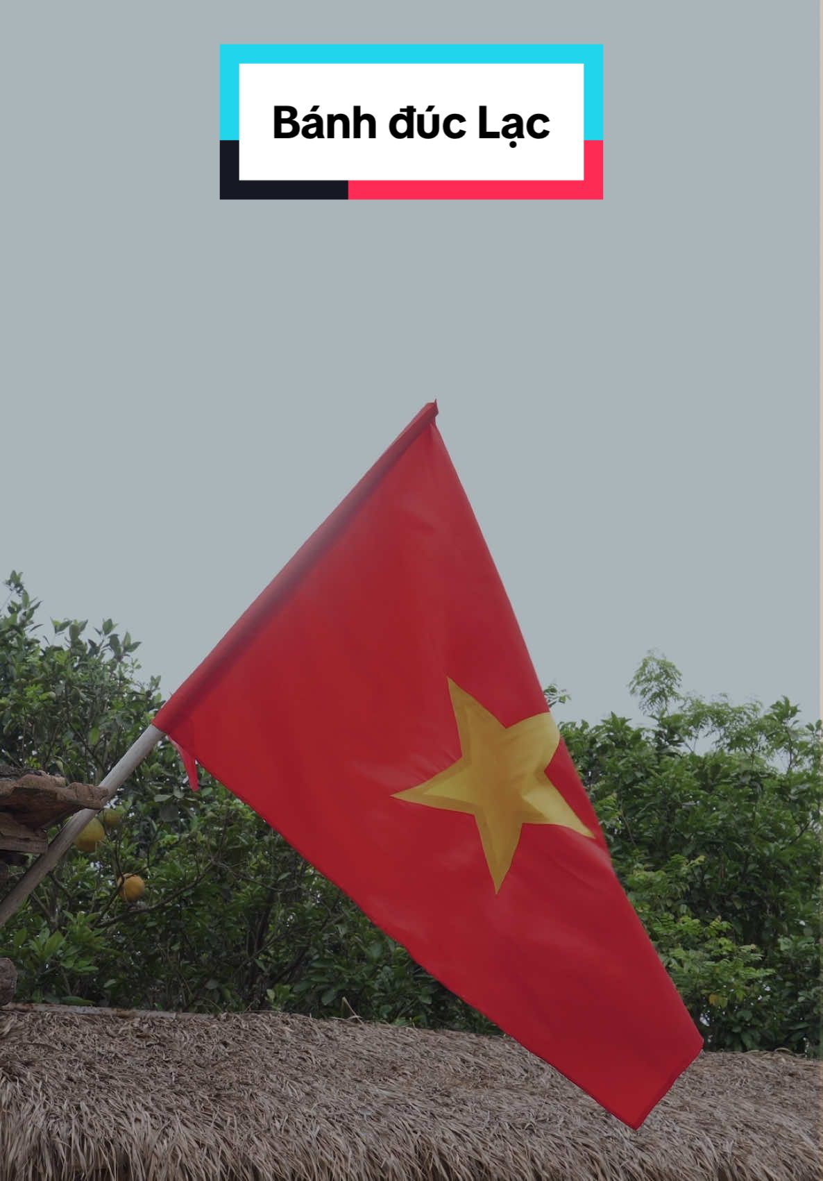 Bánh đúc lạc , chấm tương ngọt dịu  Gợi hồn quê , trong buổi chiều yên ! #hoiuc1997 #banhduclac 