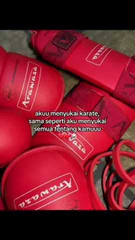##fypシ゚ #fypシ゚viral #fotolive #karate 
