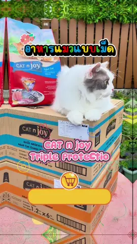 CAT n joy อาหารแมว #catnjoyอาหารแมว #Triple #Protectio #แมวอ้วน #สัตว์เลี้ยงtiktok #สวนสัตว์tiktok #catnjoy #catnjoyอาหารแมว #อาหารแมว #อาหารแมวแคทเอ็นจอย  #TikTokShopช้อปกันวันเงินออก #TikTokShop55แบรนด์แท้ลดกระหน่ำ #TTSเลเวลอัป @JoJoESunG @JoJoESunG @JoJoESunG 