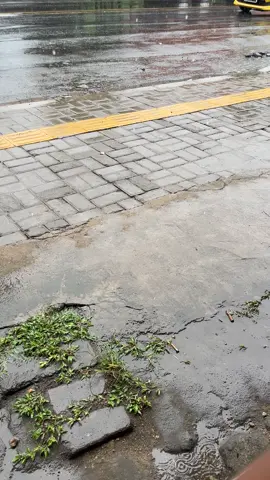 Biarkan lagi yang menjelaskan 