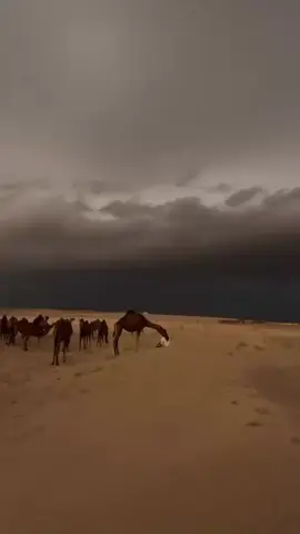 😍😍⛈️⛈️الله يجيب الخير 