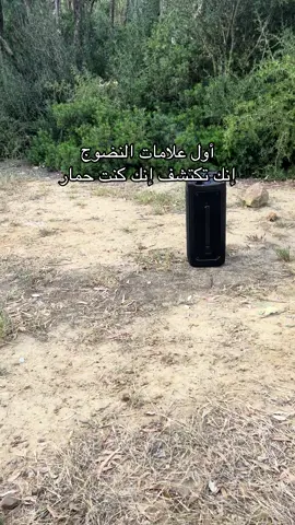 #fyp #pourtoi #الشعب_الصيني_ماله_حل😂😂 #explore #treanding #fppppppppppppppppppp #اكسبلور #foryoupage❤️❤️ #maroc #tunisia #algeria 