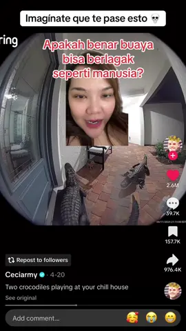 Buaya dimana aja sama! #buaya #doorbell #alligator 