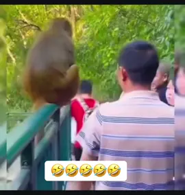 #fyp #respect #funnymoments #funyy_videos #dog #funnymoments #tik_tok #fun #funnymoments #fyp 