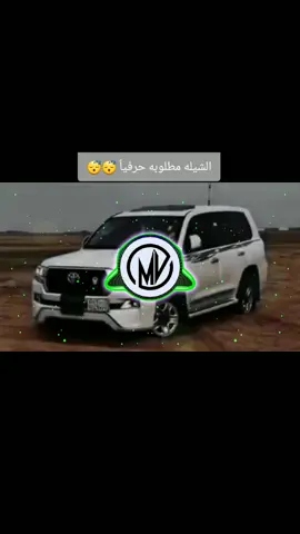حي الدلايل محمد بن غرمان🤩 #شيلات_طرب_تعديل_مميز # #foryou ##keşfet #explore 