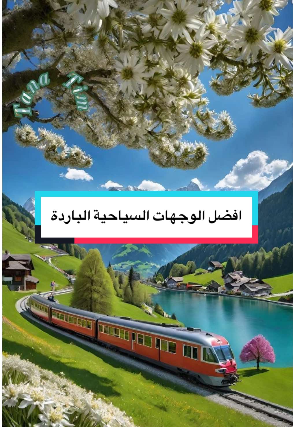🎥 وين تحب تسافر؟ ❄️🔥 دول باردة تنسيك الحر في ٣ ثواني    🌍 القائمة الذهبية لأجمل 7 دول باردة (يونيو-أغسطس) ✔️ آيسلندا: أرض الجليد والنار!   ✔️ النرويج: عاصمة الشفق القطبي!   ✔️ سويسرا: جبال وإنترلاكن الساحرة!   ✔️ تركيا الشمالية: طرابزون وأوزنجول الخضراء!   💡 نصيحة السفر: 