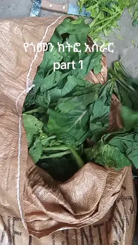 የጎመን ክትፎ አሰራር part1 #የጎመንክትፎ #ክትፎ  #ጉራጌ