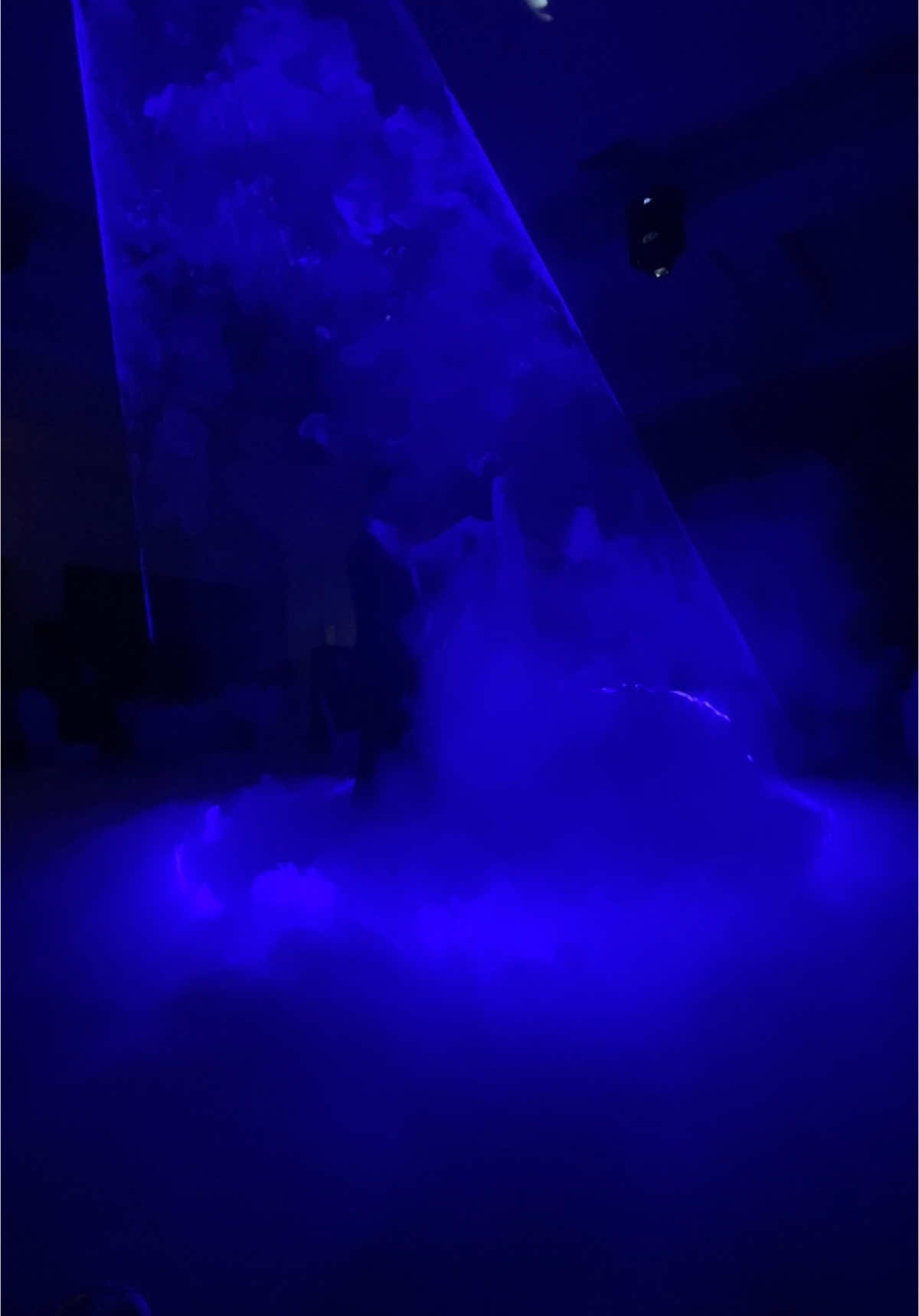 Fumée lourde & étincelles froides & laser show disponible chez MA Dreams.. ❤️💍 0772101575 📞#mariage #WeekendVibes #Love #عرس #عروس #ليلة_العمر #حب #وعد  #evenement #event #fumé #fuméelourde #feuartifice #lasershow #oran #tlemcen #aintemouchent46 #sidibelabbes #mostaganem #algerie #🇩🇿 #fyp #viral #trend #love #wedding #romantic #weddingday #fyppppppppppppppppppppppp #fyp  