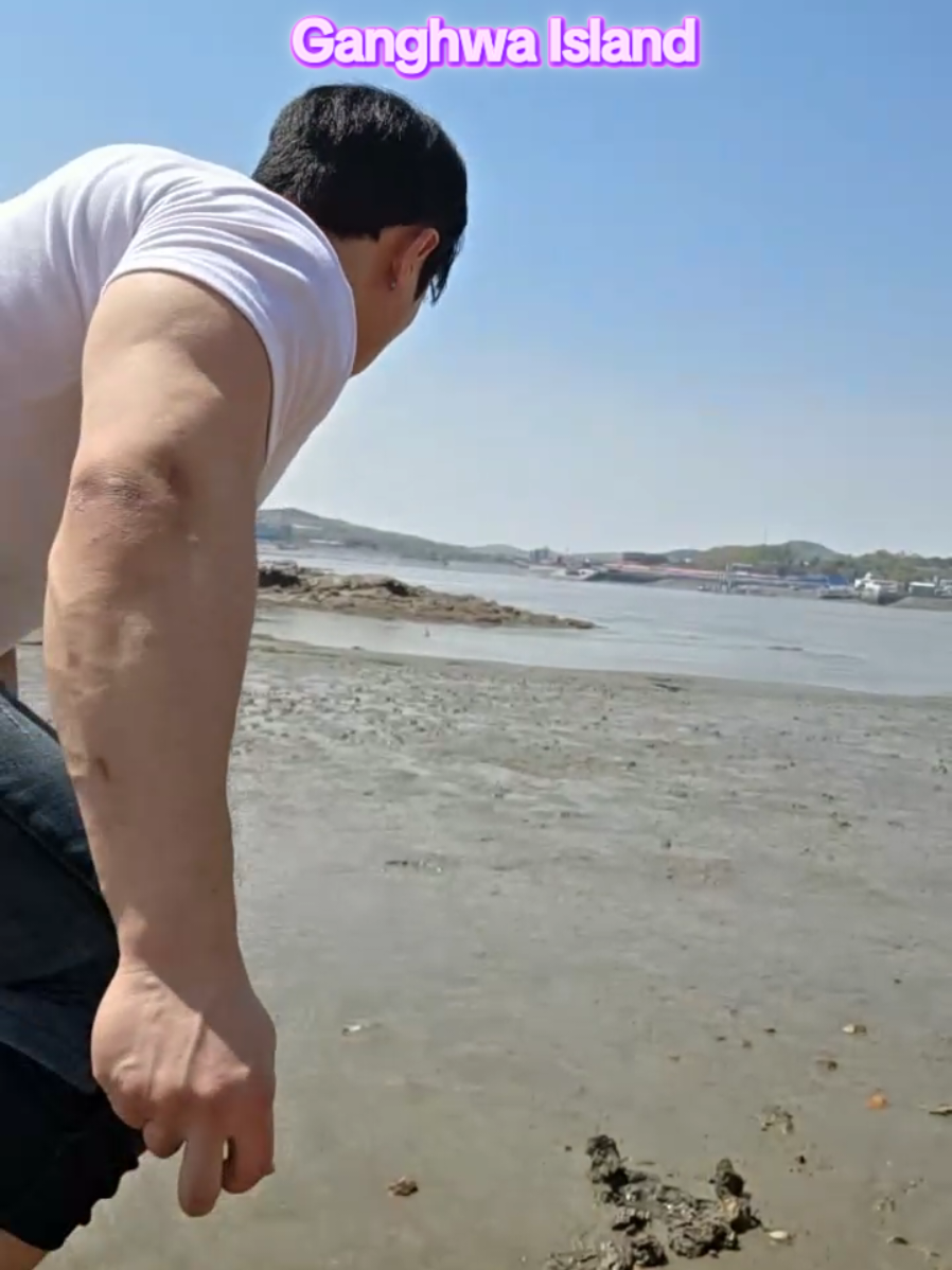 Ganghwa Island LIve