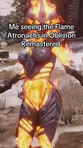 I’ll take all of your fire resistant potions please #oblivion #oblivionclips #skyrim #skyrimmemes #skyrimtiktok #bethesda #toddhoward #flameatronach #meatcanyon #neuronactivation #gaming #gamer #games #elderscrolls 
