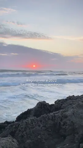 Mayo 2022. @Bad Bunny  • • • • #uvst #badbunny #badbunnypr #badbunnyfans #badbunnyedits #badbunny🐰 #badbunnyconcert #badbunnypr_oficial #yhlqmdlg #x100pre #eutdm #oasis #estadosparawhatsapp #status #statusvideo #fyp #parati #sunset #verano #2024 #dtmf #album #moscowmule #dtmf #unveranosinti #dakiti #otroatardecer #frases #reflexion #2022 #fypmusic #pr #puertorico🇵🇷
