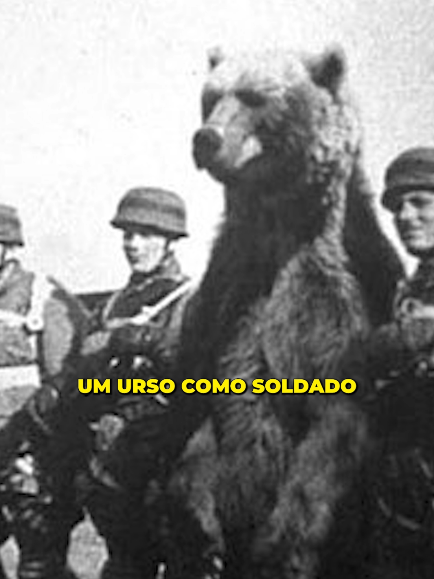 Wojtek, o urso-soldado #segundaguerra #segundaguerramundial #segundaguerramundial💂 #segundaguerramundialedit #polonia #soldadospoloneses #historiamilitar #wojtek #urso #ursopardo #animais #curiosidades #curiosidadeshistoricas #curiosidadeshistoria #ww2 #ww1 #wwii #wwi #europa #montecasino #italia #onça #onçapintada #historia #história #fyp #fyppppppppppppppppppppppp #vaiprofycaramba