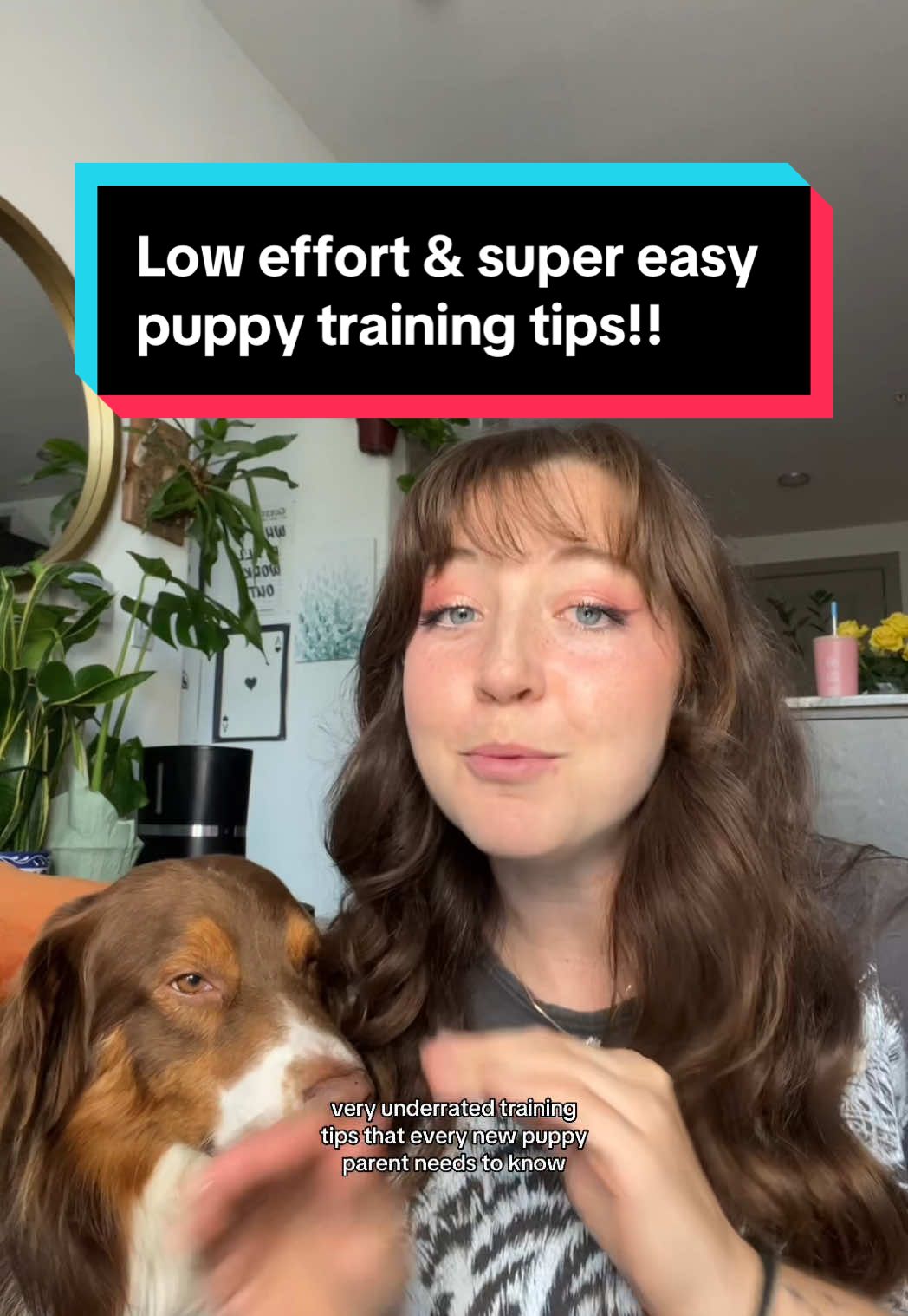 New puppy overwhelm? I GOT YOU GIRL! Try these tips, they are super underrated but amazingly helpful! ❤️🐶  #petparents #8weekoldpuppy #dogtraining101 #puppypottytrain #puppydog #howtotrainmypuppy 