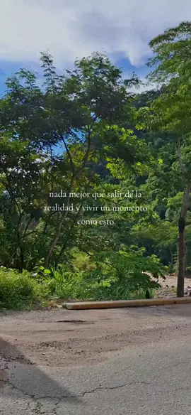 selva #aventura #hermosopaisaje #perú🇵🇪 #selvacentral🌴💚 
