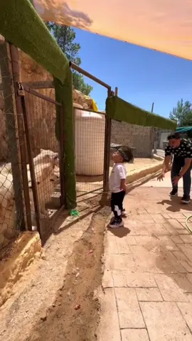 The and 😂😂#funny #funnyvideos #prank #scareprank #😂😂😂 