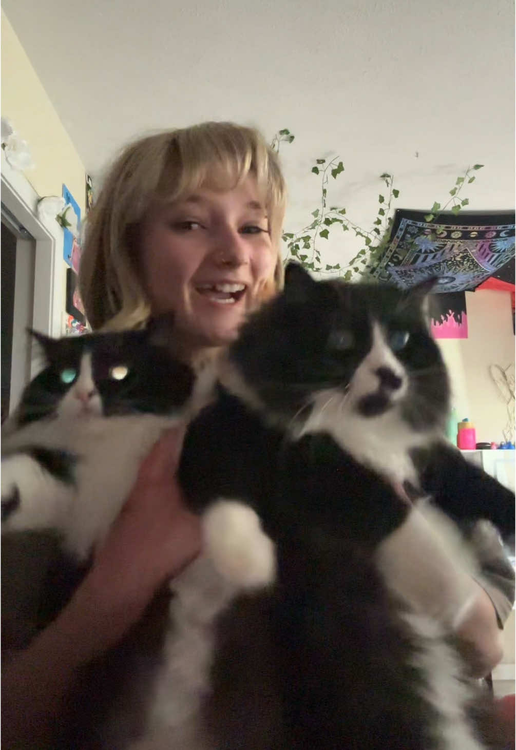 yk I had to get one with the meow meows #prom25 