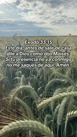 Versículo del día éxodo 33:15 Éxodo 33:15 Este día, antes de salir de casa dile a Dios cómo dijo Moisés: Si tu presencia no va conmigo no me saques de aqui. Amén. #biblestudy #Dios #exodo #verseoftheday #versiculosbiblicos #godisgood #jesuschrist #amen 