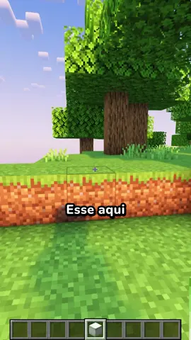 Um dos blocos mais dificeis de conseguir no Minecraft é o bloco de luz de sapo.